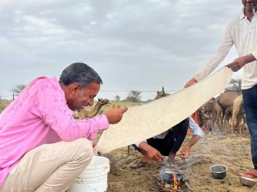 The Healing Power of Camel Milk