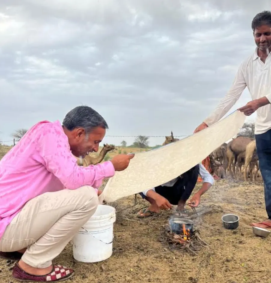 camel milk
